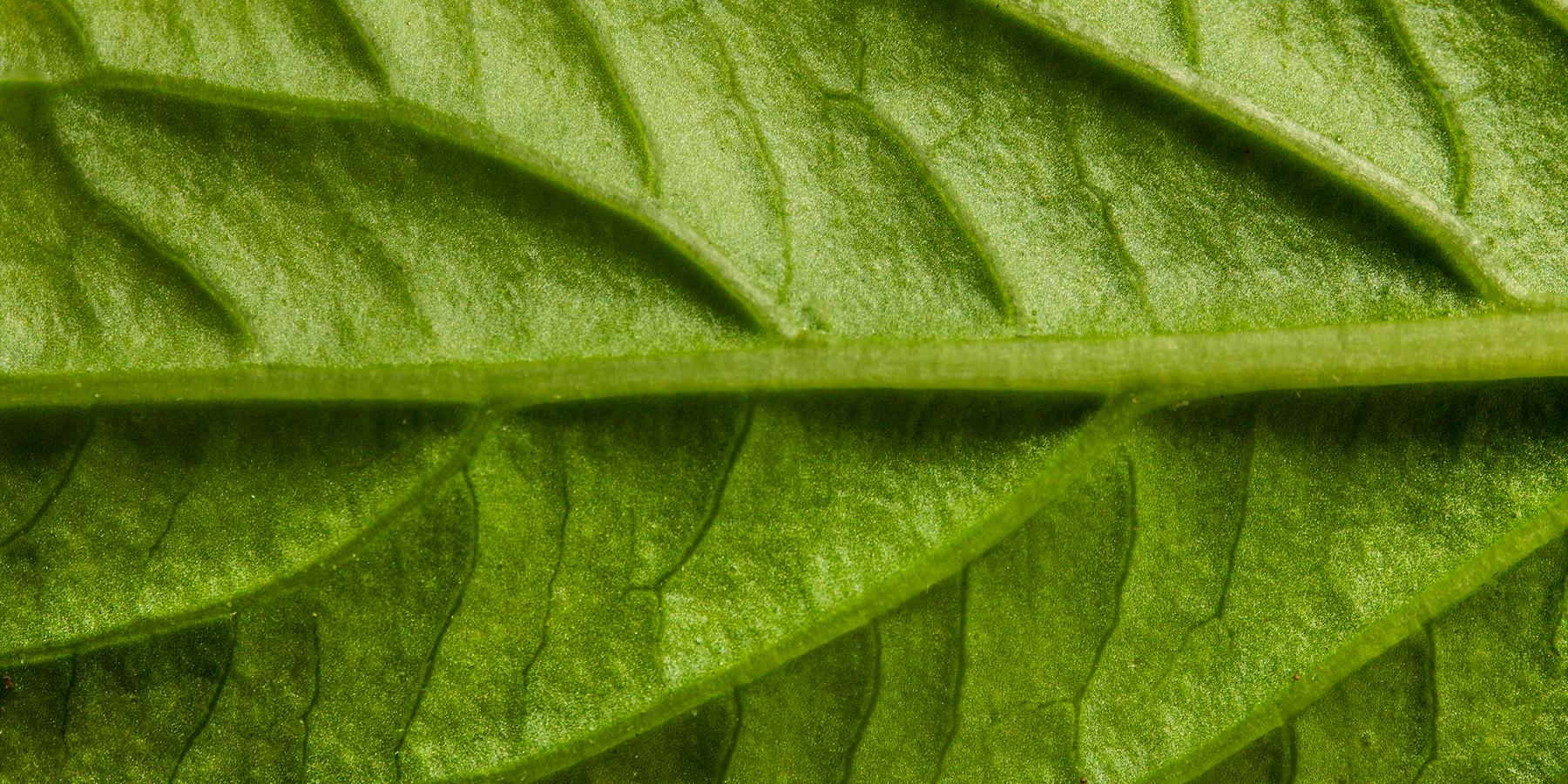 vitaminotheke.com